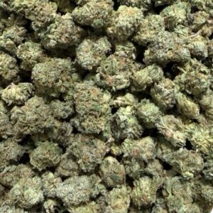 Blue Lobster Smalls (AAA)