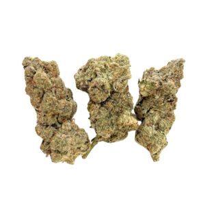 Rasta Pie (RARE AAAA+)
