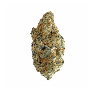 Sirius Cookies (RARE AAAA+)
